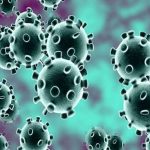 त्योंथर का चंदई गांव कंटेनमेंट एरिया घोषितभुर्तियान टोला मे मिले कोरोना मरीज के कारण लिया गया निर्णय