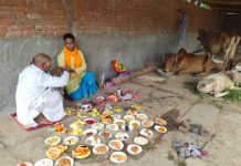श्रीकृष्ण जन्माष्टमी पर गौमाता को छप्पन भोग लगाए,दमोह से कुंण्डेश्वर टाइम्स ब्यूरो मोहन पटेल की रिपोर्ट