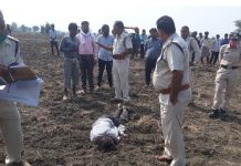 धारदार हथियार से युवक की हत्या… दोपहर के समय लाश मिलने से क्षेत्र में फैली सनसनी, मामले की जांच में जुटी पथरिया पुलिस,दमोह कुंडेश्वर टाइम्स ब्यूरो मोहन पटेल की रिपोर्ट
