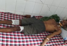 तेदुआ के हमले से पांच लोग हुवे घायल तेदुआ को पकडने मे लगा वन विभाग का अमला