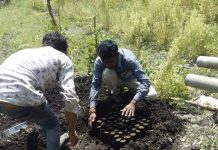 वाग्धारा का सपना किसान हो सशक्त अपना