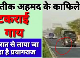 मध्यप्रदेश से गुजरा अतीक अहमद के काफिले की वैन से टकराई गाय, गुजरात से लाया जा रहा प्रयागराज कुंडेश्वर टाइम्स के लिए अनूप कुशवाहा की रिपोर्ट