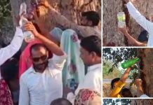 आस्था या मां का चमत्कार जबलपुर में पेड़ से निकली पानी की फुहार: लोगों ने चमत्कार मान बोतलों में भरा पानी