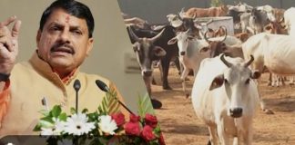 मोदी,मोहन की गौ भक्ति पर और प्रयास पर प्रश्न चिन्ह लगा रहे अधिकारी। मऊगंज में गौशाला व्यवस्था पर उठे सवाल,करोड़ों खर्च के बाद भी सड़क और खेतों में घूम रहे गौवंश, जांच की मांग